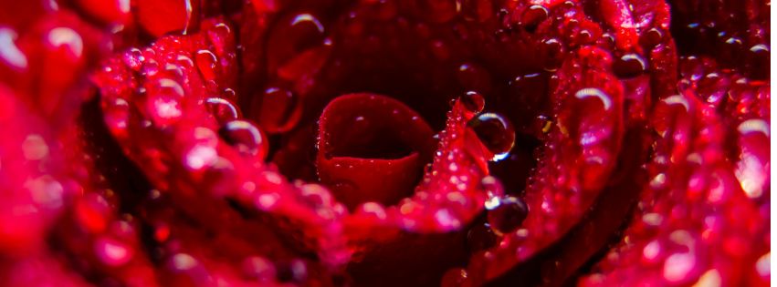 cunnilingus fontaine de jouvance sexotherapie floresdeoya 1