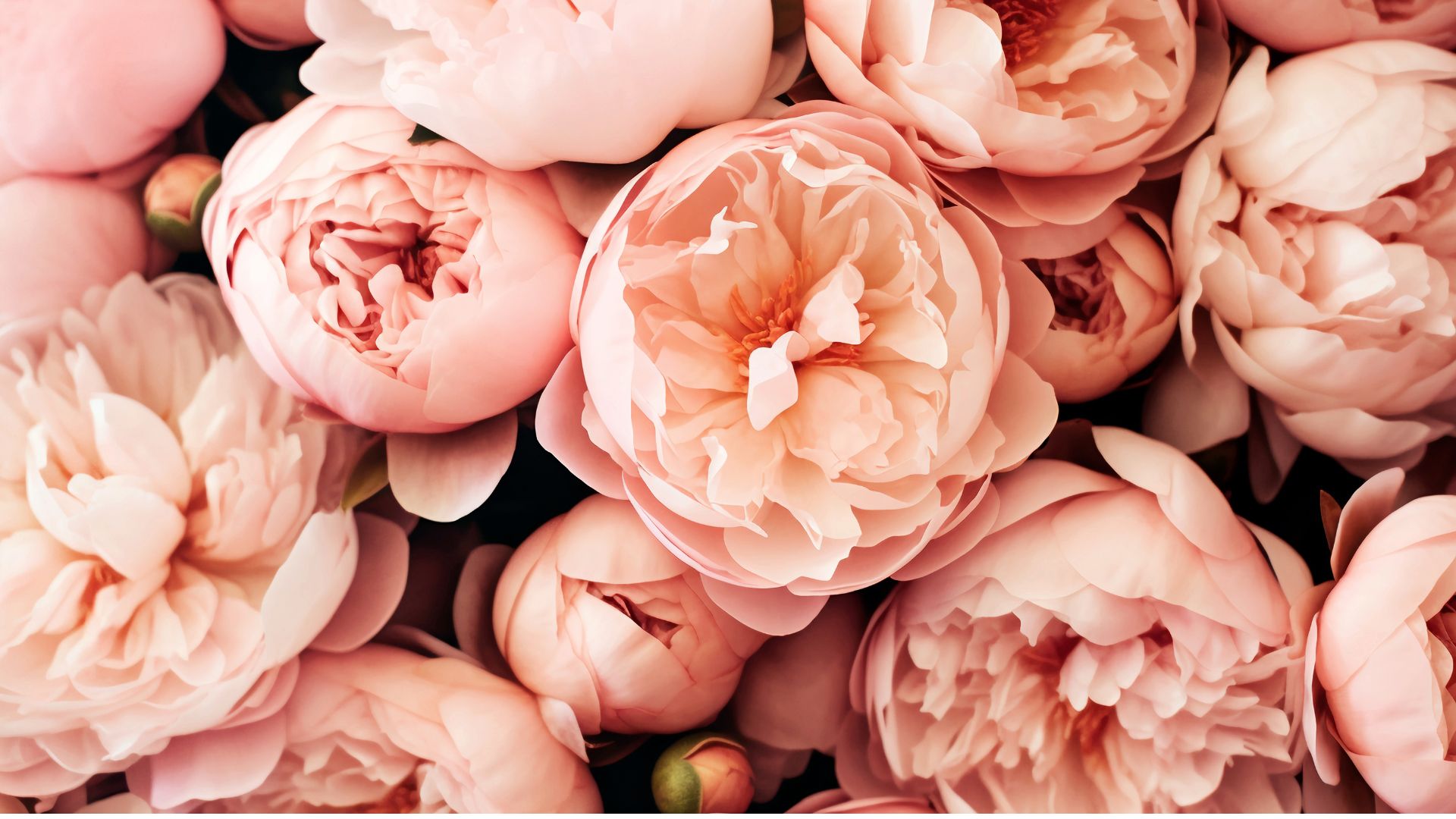 objectifs sexualite femme sexotherapie stephanie mollar floresdeoya