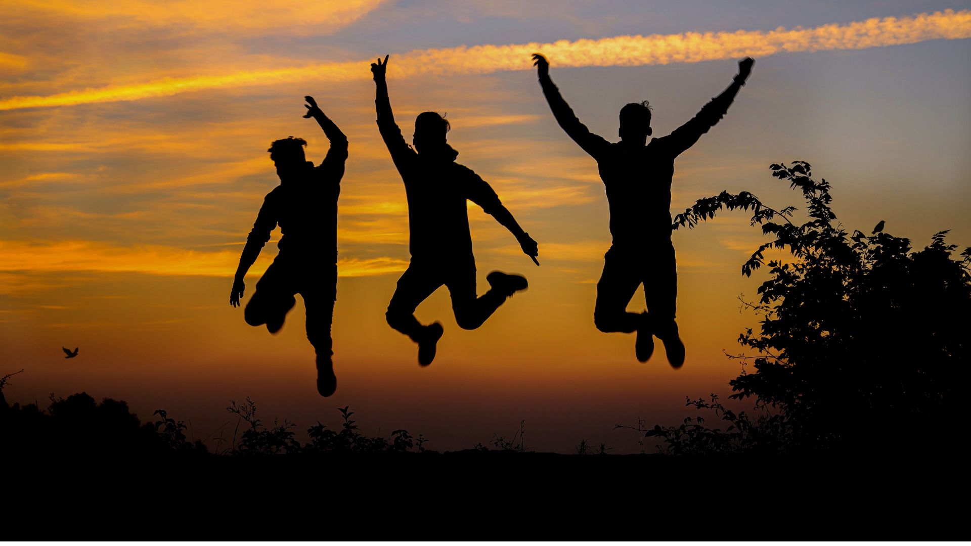 Témoignages — Flores de Oya